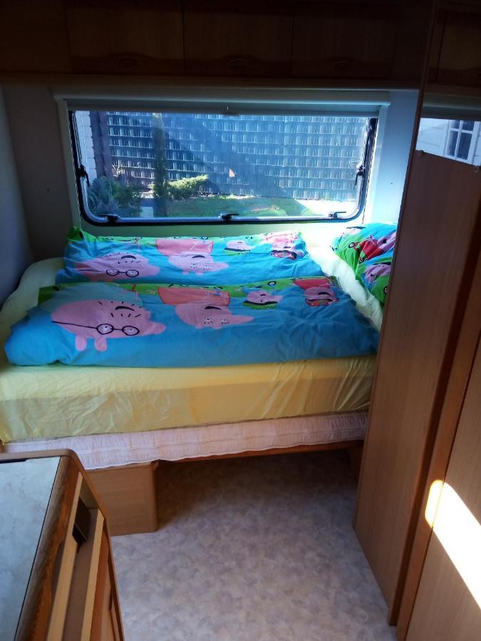 Urlaub Machen Direkt Am Irland Das Kinderparadies In Twisteden Im Grossen Garten Bei Privatleute Fur Maximal Sechs Personen Kevelaer Exterior photo